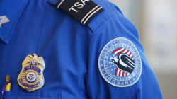 TSA reports spike in firearms detected at Tampa Bay airports ...