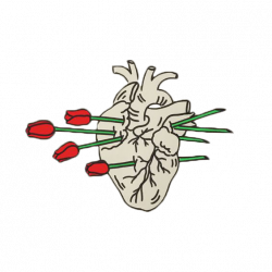 Transparent PNG