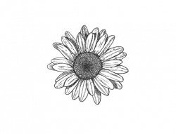 black and white flowers tumblr transparent | Tattoos, Small ...