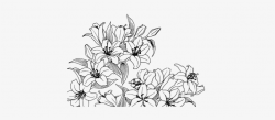 Pinterest - Flowers Drawing Tumblr Png PNG Image ...