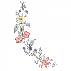 eleletsitz: Transparent Flower Drawing Tumblr Images