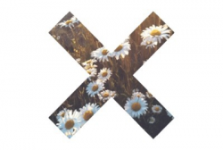 transparent overlays | Tumblr