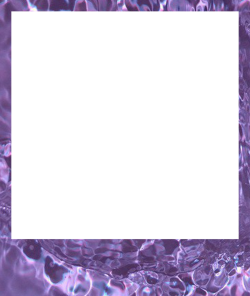 polaroid transparent | Tumblr