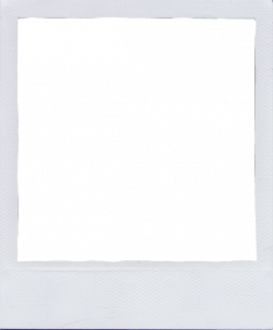 polaroid tumblr polaroidpng png transparent...