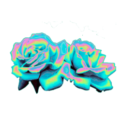 Sticker Tumblr Blog Plastic - holograph png download - 500 ...