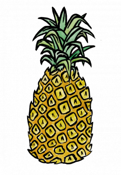 Hatti Rex — Transparent pineapple