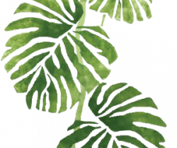 Tropical png tumblr, Picture #2067282 tropical png tumblr
