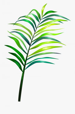 Sticker Art Tumblr Tropical Sticker Picsart Png Tropical ...