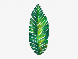 Tumblr Palmleaf Leaf Watercolor Freetoedit - Tropical Leaves ...
