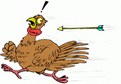 Animated Thanksgiving Clip Art | free turkey Clipart turkey icons ...