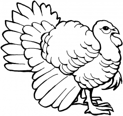 Turkey clipart outline pencil and inlor turkey gif - Cliparting.com