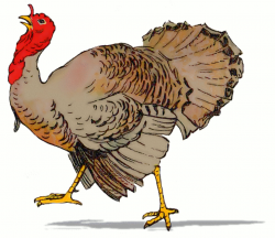 Free American Turkey Clipart, 1 page of free to use images - Clip ...