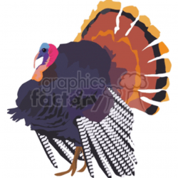 Realistic turkey clipart. Royalty-free GIF, JPG, WMF clipart ...