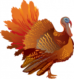 Free turkey clipart cliparts and others art inspiration - ClipartPost