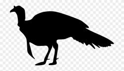 Turkey Silhouette Clip Art Free - Wild Turkey Silhouette Clip Art ...