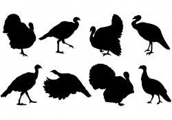 Best Free Wild Turkey Silhouette Clip Art Drawing ~ Vector Images Design