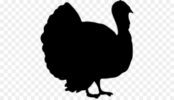 Turkey Poultry png download - 512*512 - Free Transparent Turkey png ...