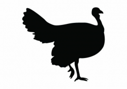 silhouette | Turkey Silhouette vectors for your Thanksgiving day ...