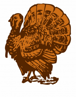 Turkey Png - Turkey Clipart Vector Free PNG Images & Clipart ...