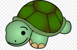 Turtle Turtle png download - 772*565 - Free Transparent Turtle png ...