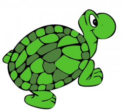 Green turtle clipart - ClipartAndScrap