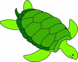 Cartoon sea turtle clipart - WikiClipArt