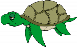 Free Turtle Cliparts, Download Free Clip Art, Free Clip Art on ...