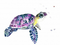 turtle clipart green and purple #14 | tattoos in 2019 | Sea turtle ...