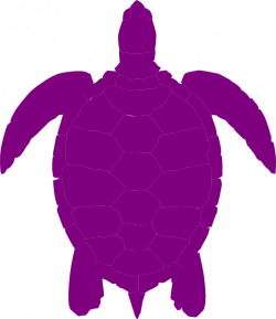 Sea Turtle Clipart purple - Free Clipart on Dumielauxepices.net