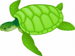 Clipart sea turtle biezumd 2 - Cliparting.com