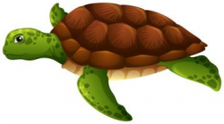 Turtle Free Vector Art - (8,721 Free Downloads)