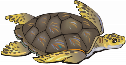 Sea turtle clip art free clipart images clipartix | printables ...