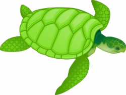 Green Sea Turtle clip art Free vector in Open office drawing svg ...