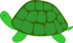 Free Turtle Clipart, Download Free Clip Art, Free Clip Art on ...