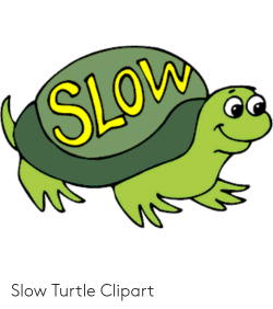 SLOw Slow Turtle Clipart | Turtle Meme on ME.ME