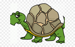 Slow Clipart Sick Turtle - Png Download (#2265035) - PinClipart