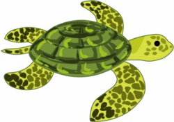 Sea turtle swimming turtle clipart - WikiClipArt