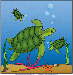 Sea turtle swimming turtle clipart – Gclipart.com