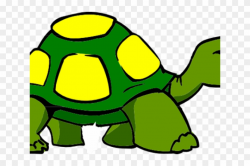 Transparent Background Turtle Clipart, HD Png Download - 640x480 ...