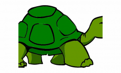 Transparent Background Turtle Clipart Free PNG Images & Clipart ...