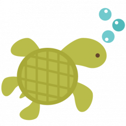 Sea turtle clipart transparent background – Gclipart.com