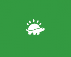 Sun Turtle Designed by town | BrandCrowd