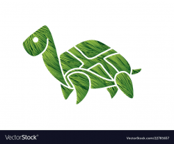 Turtle cartoon graphic