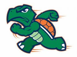 Runnin\' Turtles | Fantasy logo, Fantasy football logos, Turtle