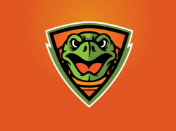 Turtle Shield Logo | Shield logo, Logos, Sports logo