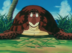 Turtle | Dragon Ball Wiki | Fandom