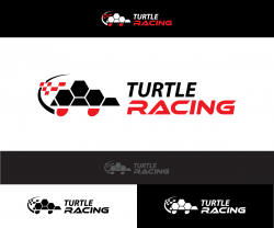 Car Racing Logo Design for Turtle Racing by sangeloenriquez ...