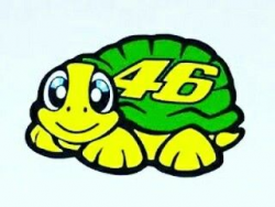 Turtle | Valentino rossi helmet, Valentino rossi, Valentino ...