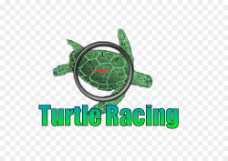 Turtle Logo Brand Green - Car Racing Flyer