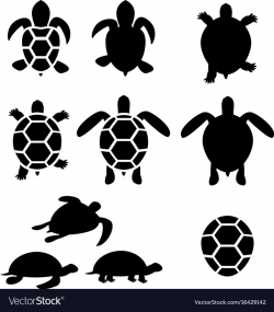 Set of turtle and tortoise silhouette